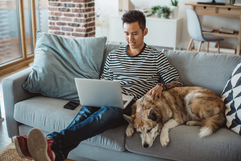 Young man sitting on sofa and reading something on laptop with pet dog next to him